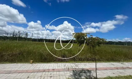 Terreno à venda no loteamento jardim cristina - araquari/sc