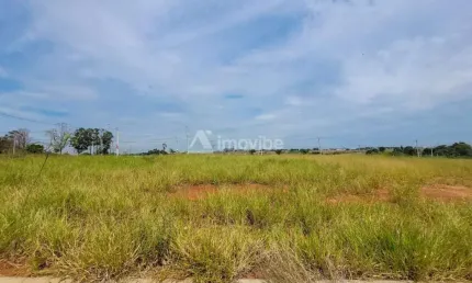 TERRENO à venda, JARDIM ALPHACENTER - Santa Bárbara D'Oeste/SP