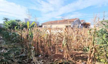 Terreno Plano à Venda com 300m² no Bairro Jd. Amélia – Americana/SP **Metragem rara nesse bairro! Aproveite essa oportunidade única!**