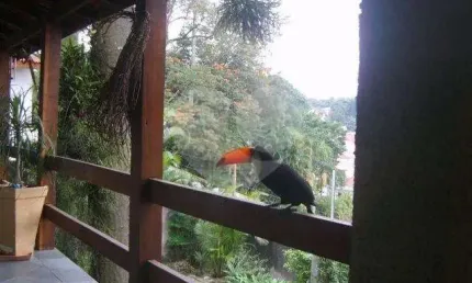 Casa com 3 quartos à venda na Rua Edgar Franco, 160, Tremembé, São Paulo