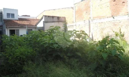TERRENO PLANO A VENDA NA VILA DIONÍSIA - ENTRE AS AVENIDAS DEP. EMÍLIO CARLOS E ENG. CAETANO ÁLVARES