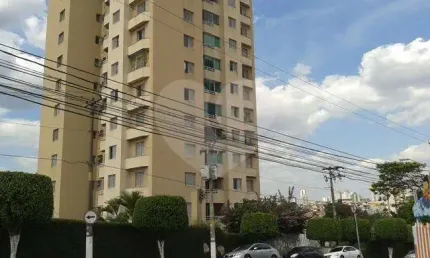 Apartamento com 3 quartos à venda em vila paulicéia - sp