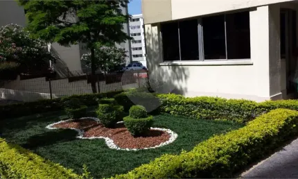 Apartamento com 2 quartos à venda em vila amélia - sp