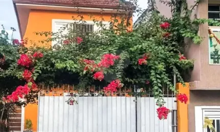 Casa com 5 quartos à venda na São Delfino, Parque Edu Chaves, São Paulo