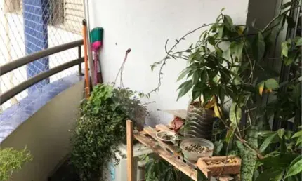 Apartamento-São Paulo-HIGIENÓPOLIS | Ref.: REO708018
