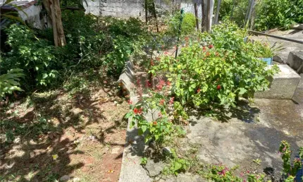 Terreno à venda na Rua José Vicente, Tremembé, São Paulo