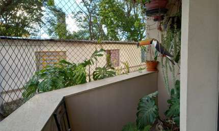 Apartamento a venda no Alto Mandaqui 3 quartos 106 m² 2 vagas