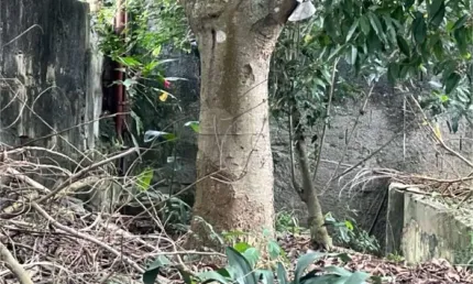 Terreno com 1 quartos à venda em horto florestal - sp