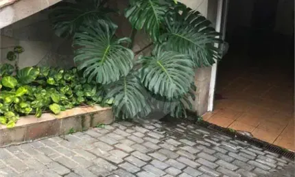 Excelente sobrado à venda com 3 dormitórios, Água Fria, SP.