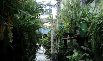 Terreno à venda na Rua Maria Amália Lopes Azevedo, 3517, Jardim Floresta, São Paulo