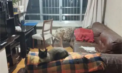 Excelente apartamento com 02 dormitórios, sala para dois ambientes, 01 banheiro e 01 vaga