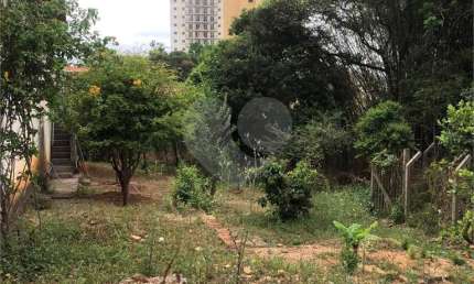 Terreno na Rua Augusto Tolle - Ótimo para investidores