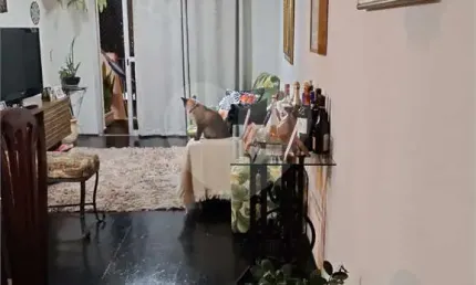 Apartamento com 2 quartos à venda na Rua Garção Tinoco, Santana, São Paulo