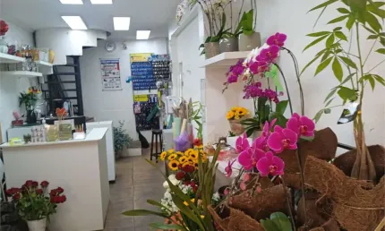 Comercial-são paulo-jardim américa | ref.: reo1004985