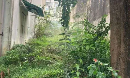 Casa comercial para alugar na Rua Alves Guimarães, 475, Pinheiros, São Paulo