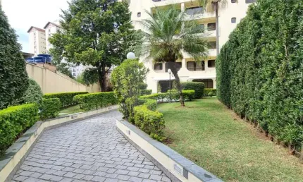 Apartamento-são paulo-horto florestal | ref.: reo287570
