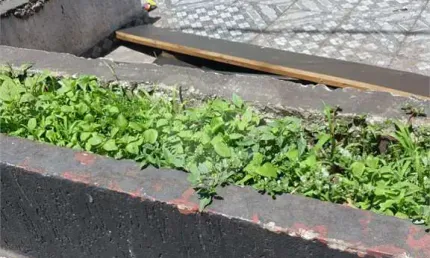 Salão comercial à venda em vila nova conceição - sp