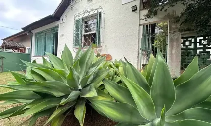 Casa térrea com 120 metros construídos em terreno com 250 metros no bairro do tremembé.