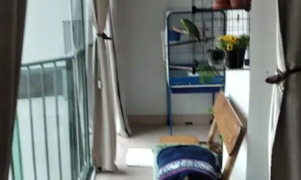 Apartamento com 3 quartos à venda na Rua Dona Maria Custódia, Santa Teresinha, São Paulo