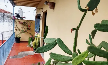 Casa comercial à venda na Avenida Senador José Ermírio de Moraes, 1058, Tremembé, São Paulo