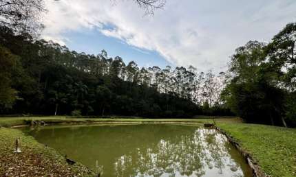 Oportunidade! Vende-se lindo sítio na Serra da Cantareira com 112.000 M².