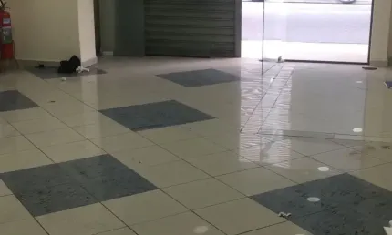 Ponto comercial com 14 salas para alugar na Avenida Tucuruvi, Tucuruvi, São Paulo