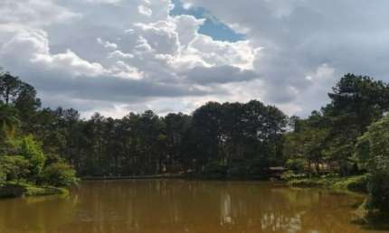 Terreno à venda na Alameda dos Eucaliptos, 180, Pirucaia, Mairiporã