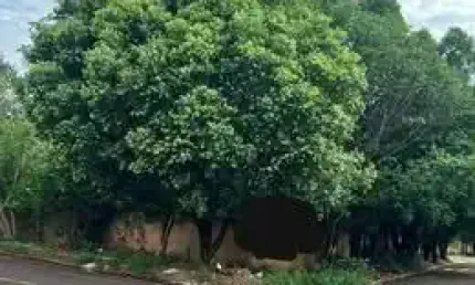 Terreno à venda na Rua São Higino, 1, Bairro Seminário, Campo Grande