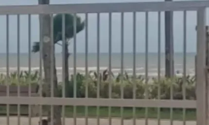 Viva com o Mar à Sua Porta! Apartamento Mobiliado à Venda