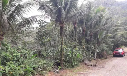 Terreno de 1.100m² no Condomínio Recanto Verdemar, localizado na Praia da Cocanha.