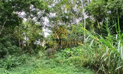 Oportunidade única no Litoral Norte de SP, 5 lotes de terreno em Massaguaçu Caraguatatuba-SP à 1000 metros da praia