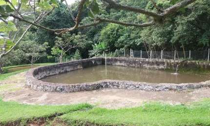 Chácara / sítio com 4 quartos à venda na Zona Rural, Vargem 