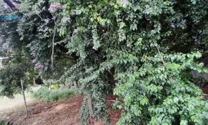 Classe A oferece este Terreno à venda, 350 m² por R$ 490.000,00 - João Pinheiro - Belo Horizonte/MG