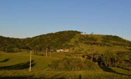 Ferreira Negócios Imobiliários Vende	Chácara em SÃ£o Francisco de Paula Bairro Décio Ramos Décio Ramos