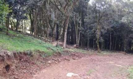 Ferreira Negócios Imobiliários Vende	Chácara em Caxias do Sul Bairro Fazenda Souza Tropical