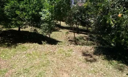 Ferreira Negócios Imobiliários Vende	Terreno em Caxias do Sul Bairro Santa Catarina