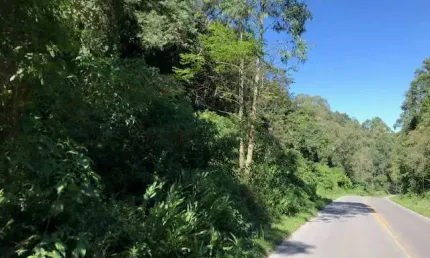 Ferreira negócios imobiliários vende	terreno em caxias do sul bairro bom pastor