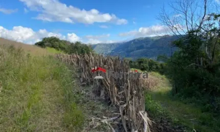 Ferreira negócios imobiliários vende	chácara em caxias do sul bairro santa lúcia do piaí