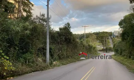 Ferreira negócios imobiliários vende	terreno em caxias do sul bairro ana rech
