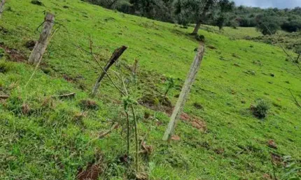 Ferreira negócios imobiliários vende	chácara em caxias do sul bairro santa lúcia do piaí chácara