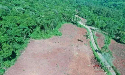 Ferreira Negócios Imobiliários Vende	Chácara em Nova PetrÃ³polis Bairro Centro Chácara