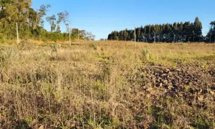 Ferreira negócios imobiliários vende	terreno em caxias do sul bairro nossa senhora das graças terreno