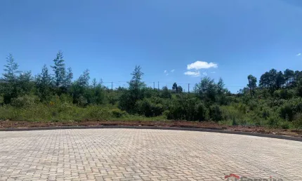Ferreira Negócios Imobiliários Vende	Terreno em Garibaldi  Bairro Alfândega Loteamento Spader