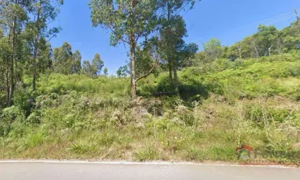 Ferreira negócios imobiliários vende	chácara em caxias do sul bairro são virgílio chácara