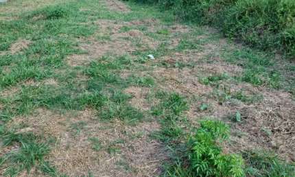 Oportunidade Imperdível: Terreno de 246 m² na Pousada do Vale, São José dos Campos!