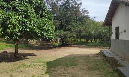 Chácara para Venda em Tanguá, Bandeirantes II, 1 dormitório, 1 banheiro