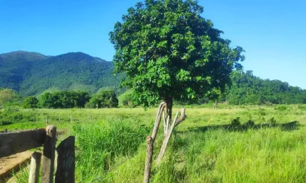 Sítio para Venda em Cachoeiras de Macacu, AGRO BRASIL