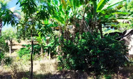 Chácara / sítio à venda no Posse dos Coutinhos, Tanguá 