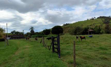 Fazenda para Venda em Itaboraí, Centro (Sambaetiba), 3 dormitórios, 1 suíte, 2 banheiros, 1 vaga
