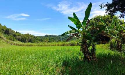 Sítio para Venda em Itaboraí, Centro (Sambaetiba), 2 dormitórios, 1 banheiro